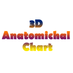 3D Anatomical Chart 150x150