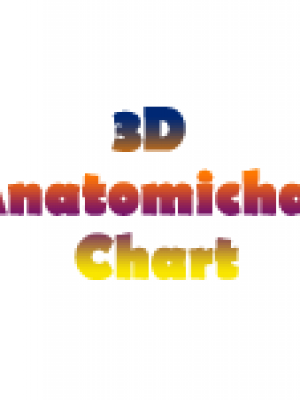 3D Anatomical Chart 150x150